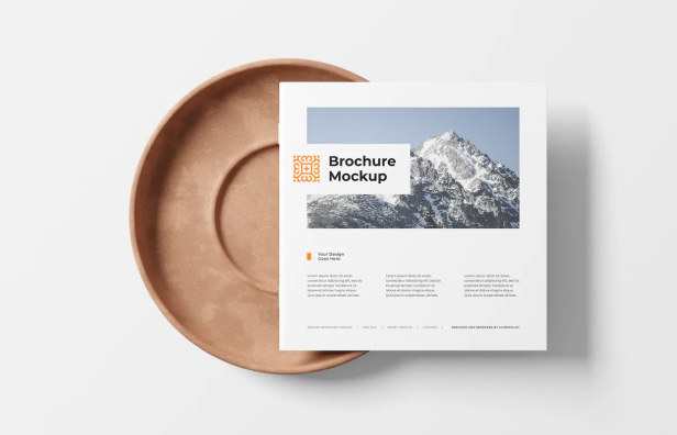 Brochure Mockup.jpg